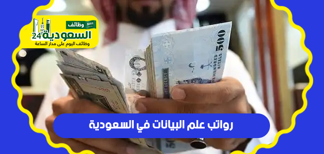 رواتب علم البيانات في السعودية ... 23,100 ريال شهريًا كحد أعلى U_oo_o15